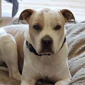 Meet your Posher, Heidi